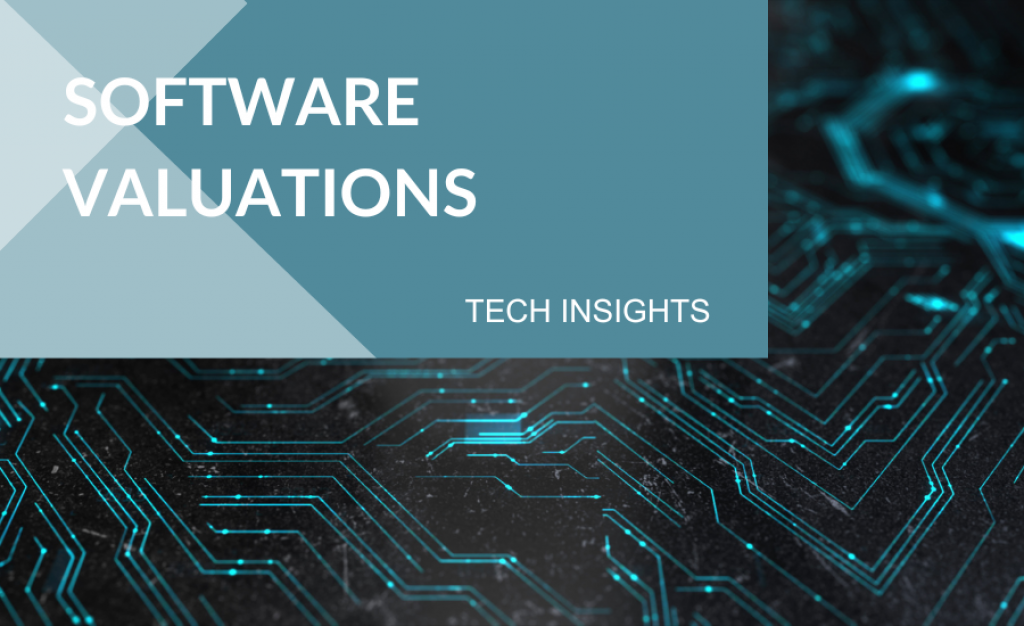 Cover page showing document title of software valuations