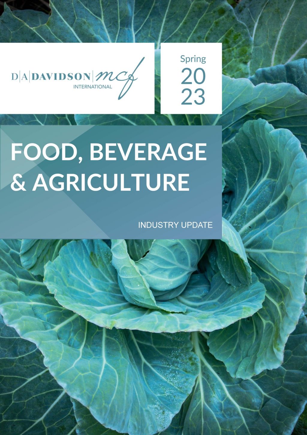 Cover image of the Consumer M&A Industry Update Report - Title with a picture of a cabbage in the background