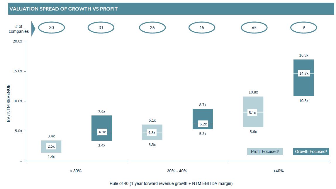 Chart showing M&A Valuation spread of growth versus profit